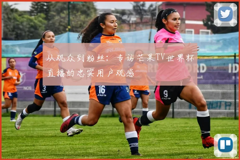 从观众到粉丝：专访芒果TV世界杯直播的忠实用户观感